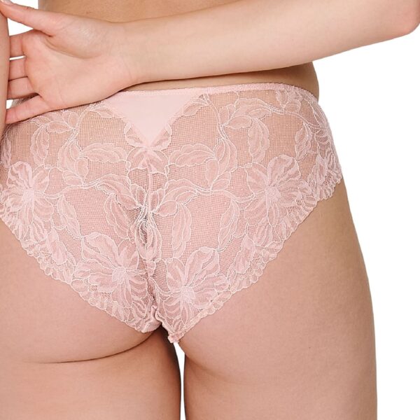 Powder Lace Briefs - Image 4