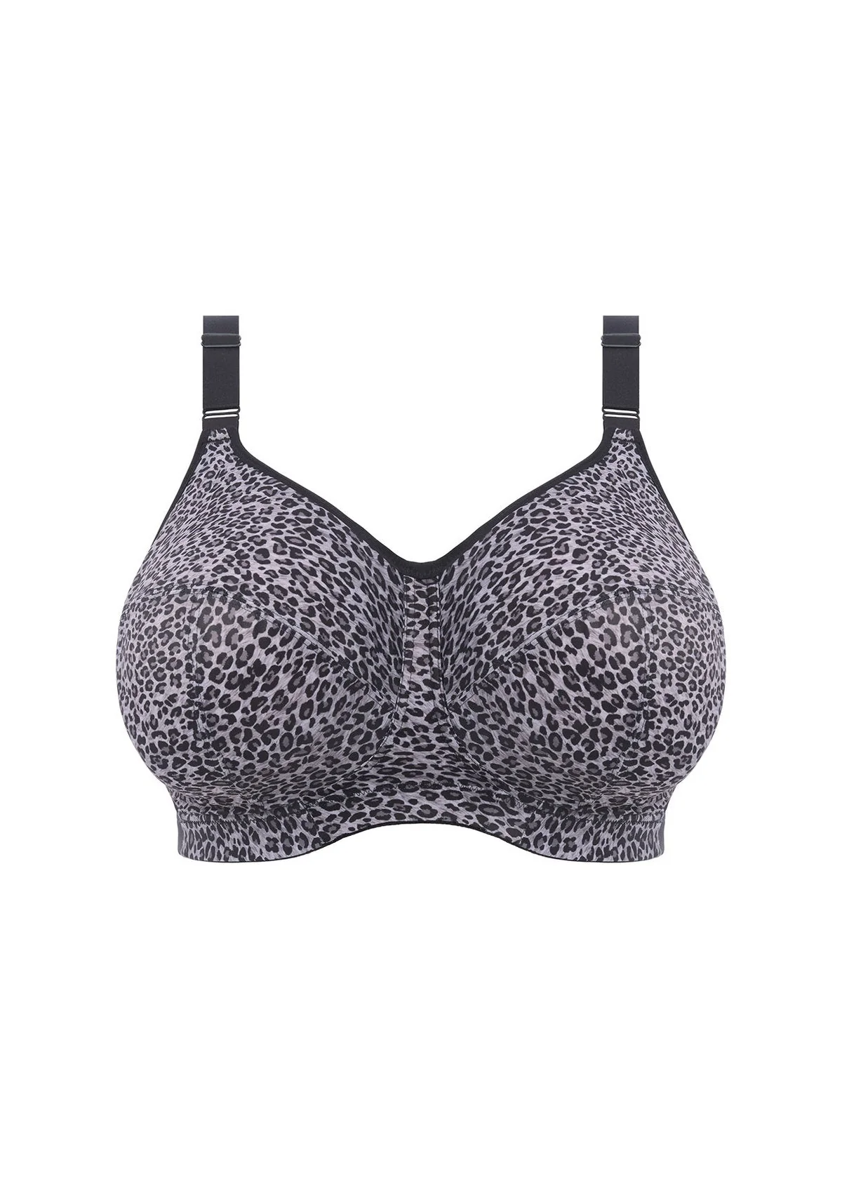 Celeste Grey Leopard - Image 4
