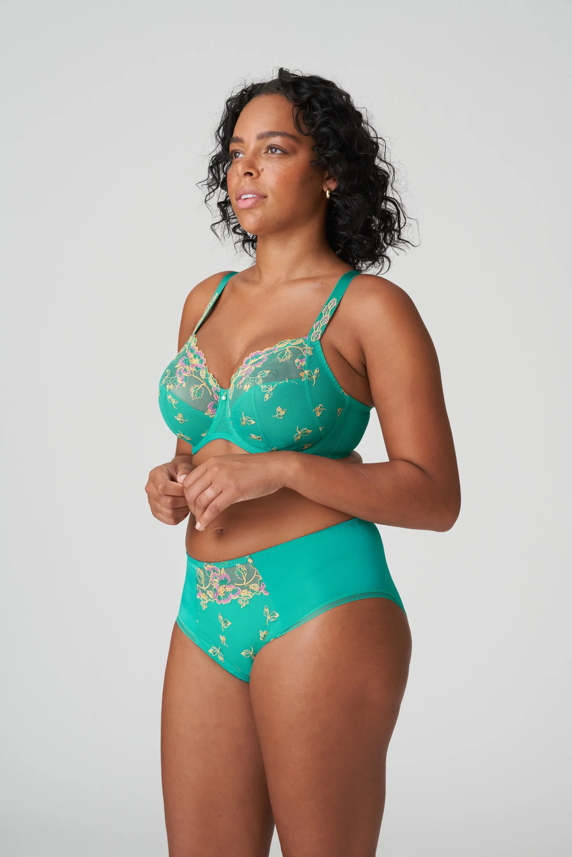 Lenca Full Brief - Image 5