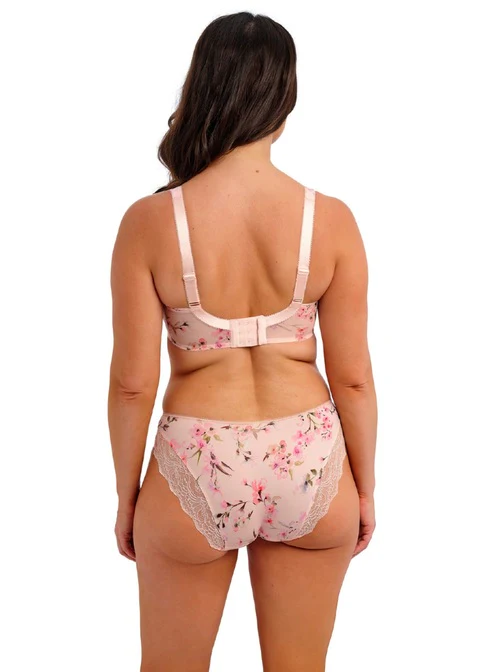 Lucia Brief - Image 4