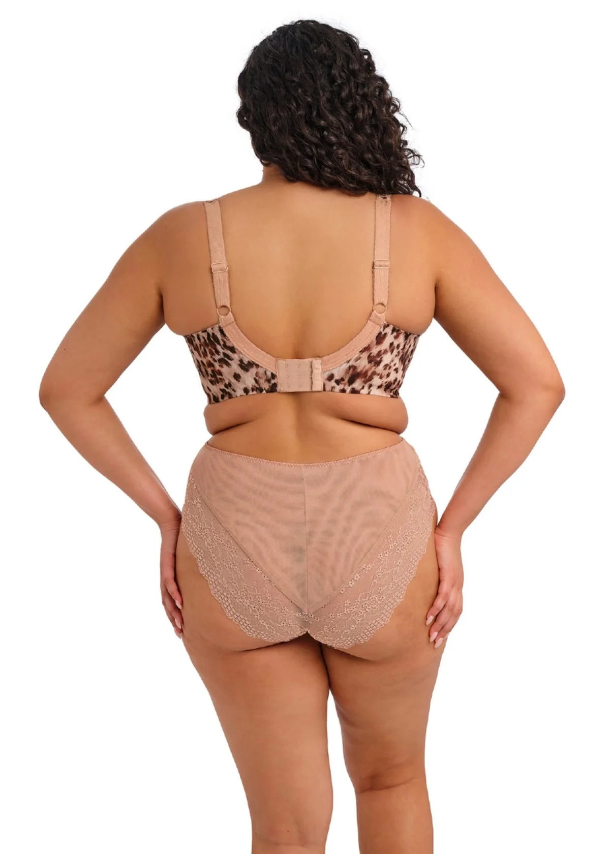 Lucie High Leg Brief - Image 10
