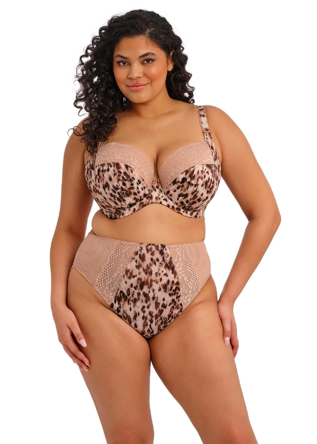 Lucie High Leg Brief - Image 9