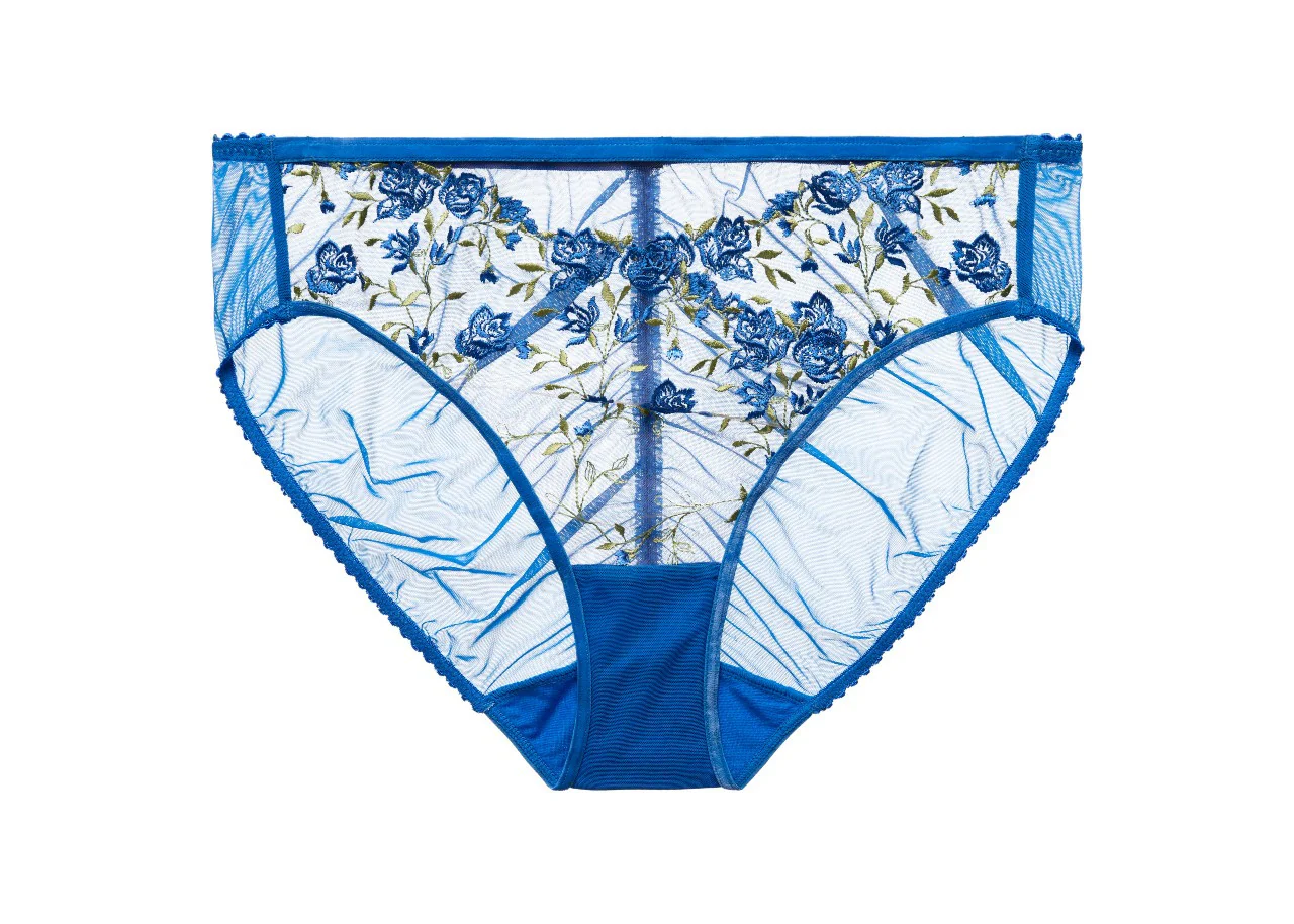 Rosewyn Hi Cut Brief - Image 3