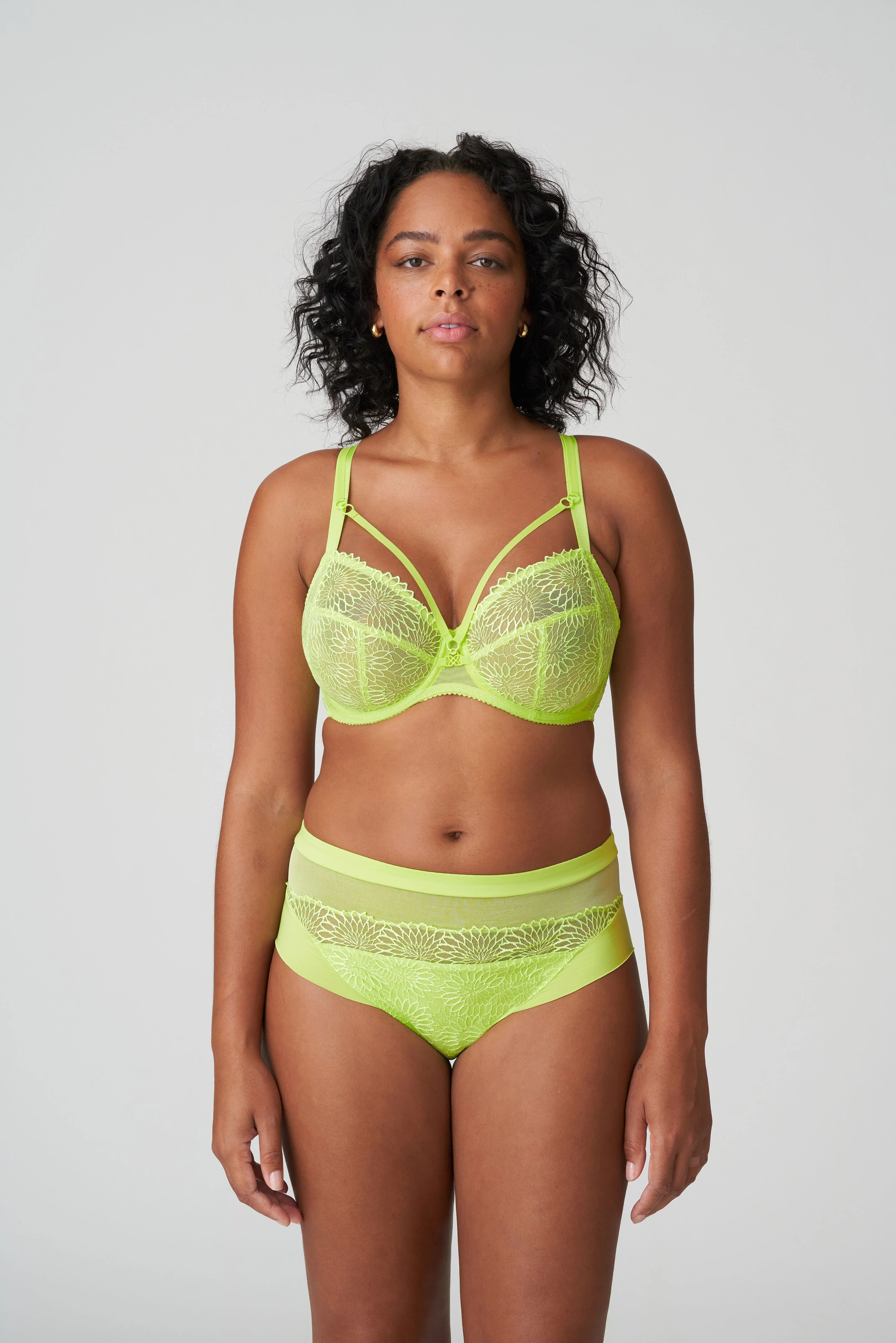 Sophora Full Brief - Image 10