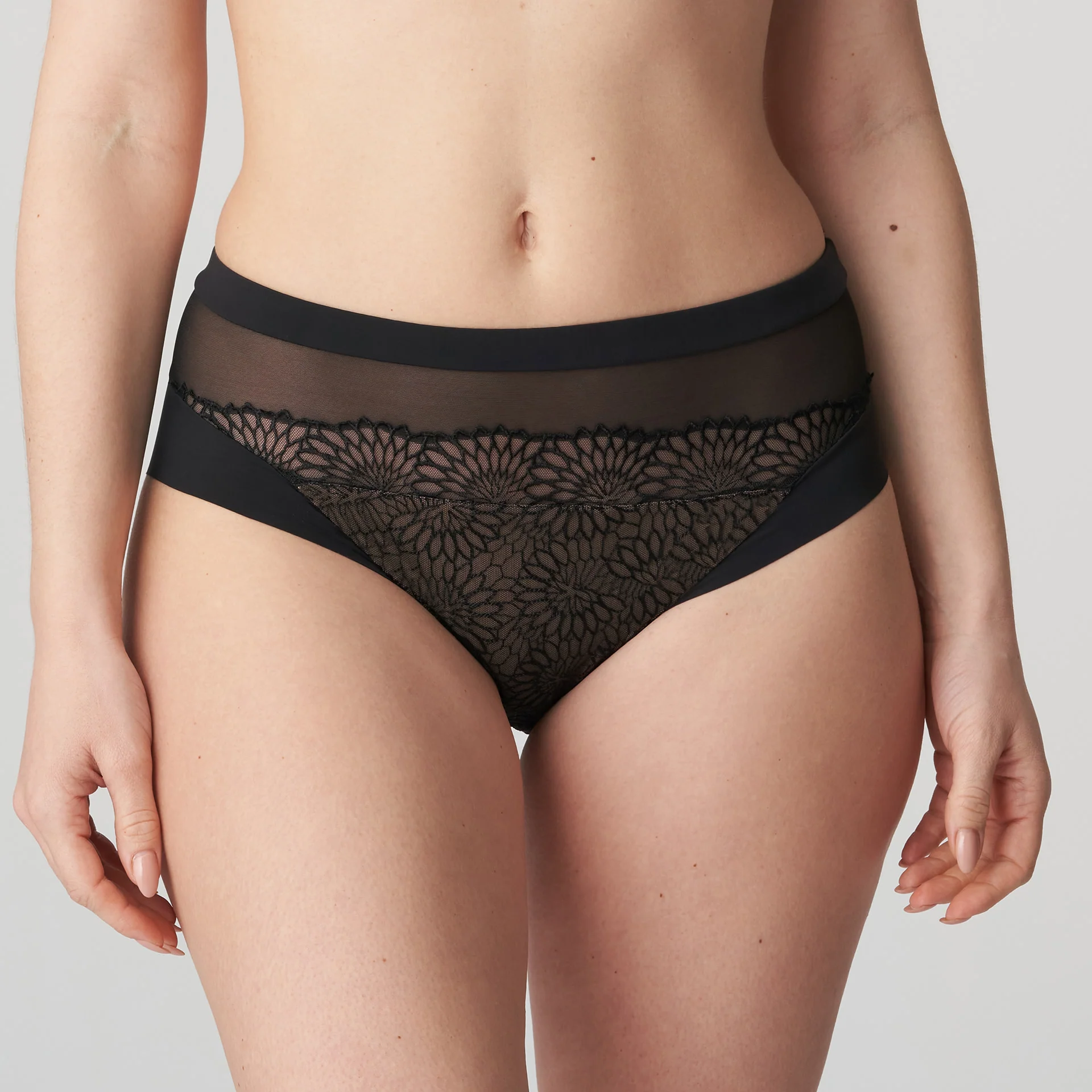 Sophora Full Brief - Image 11