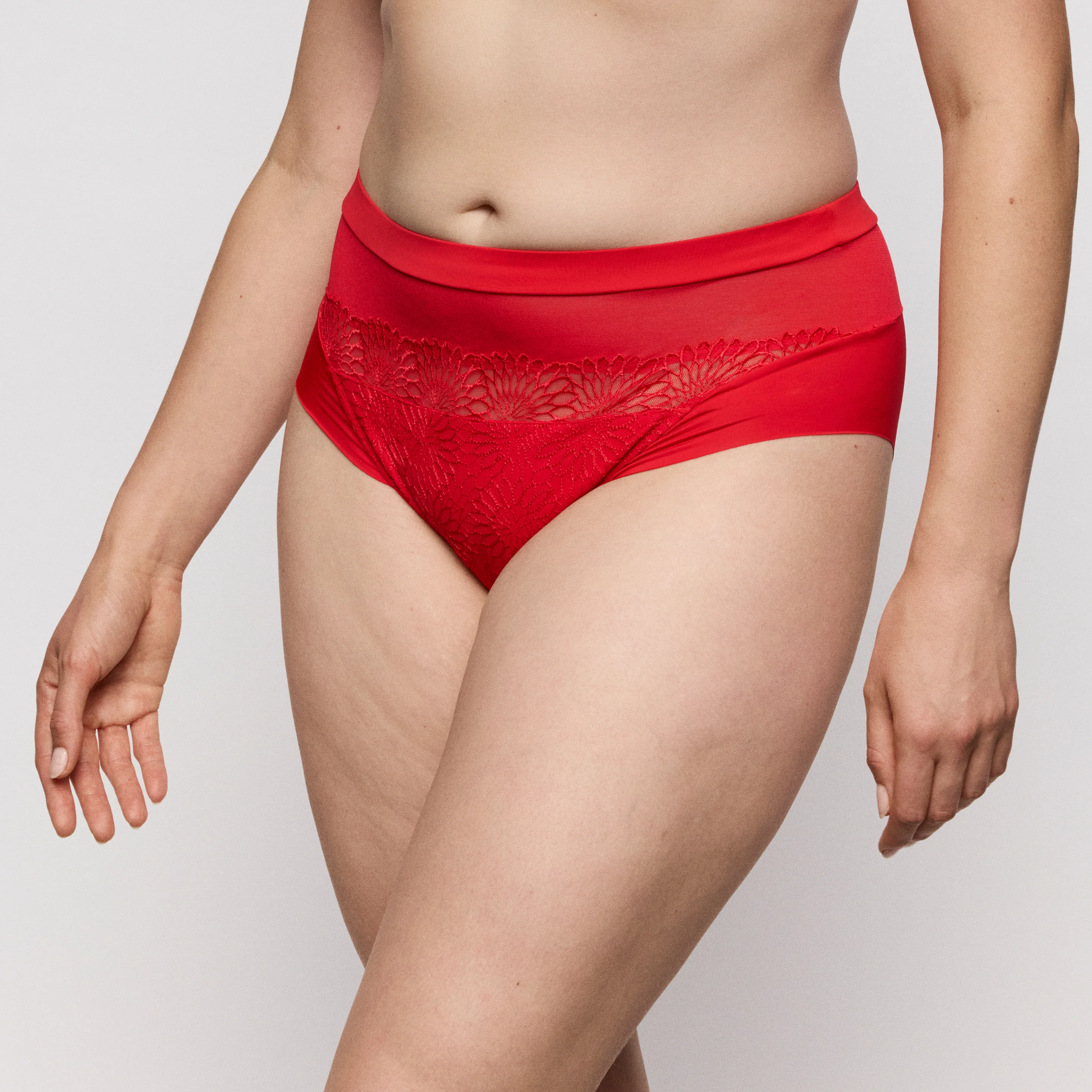 Sophora Full Brief - Image 3