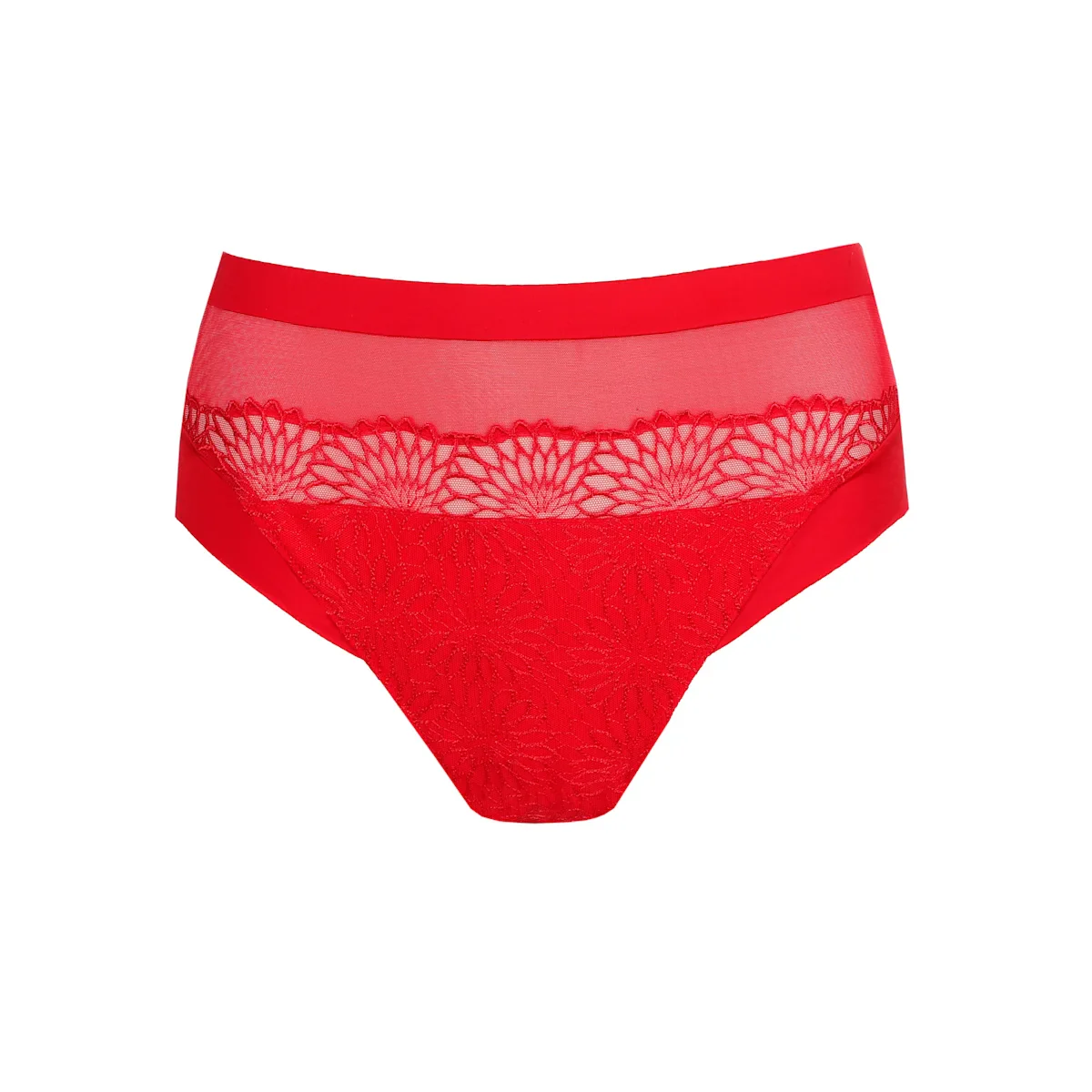 Sophora Full Brief - Image 4