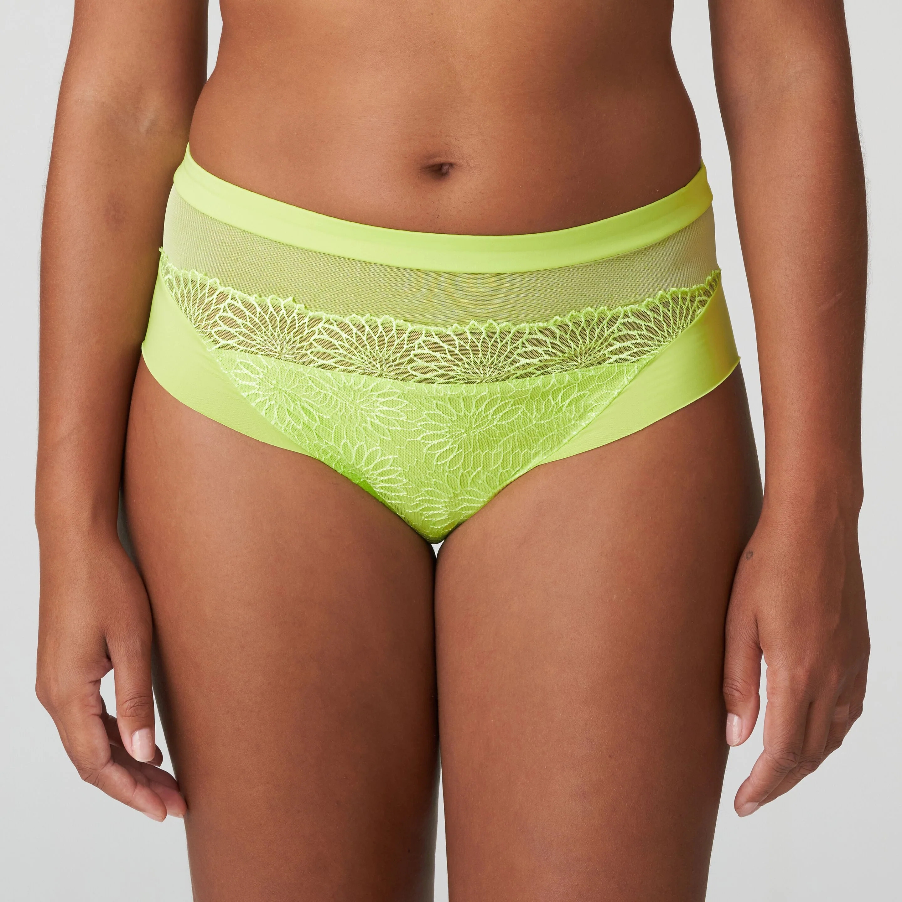 Sophora Full Brief - Image 5