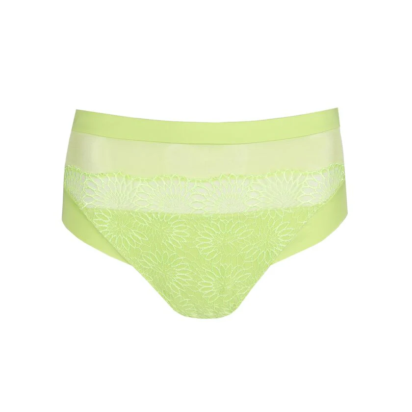 Sophora Full Brief - Image 8