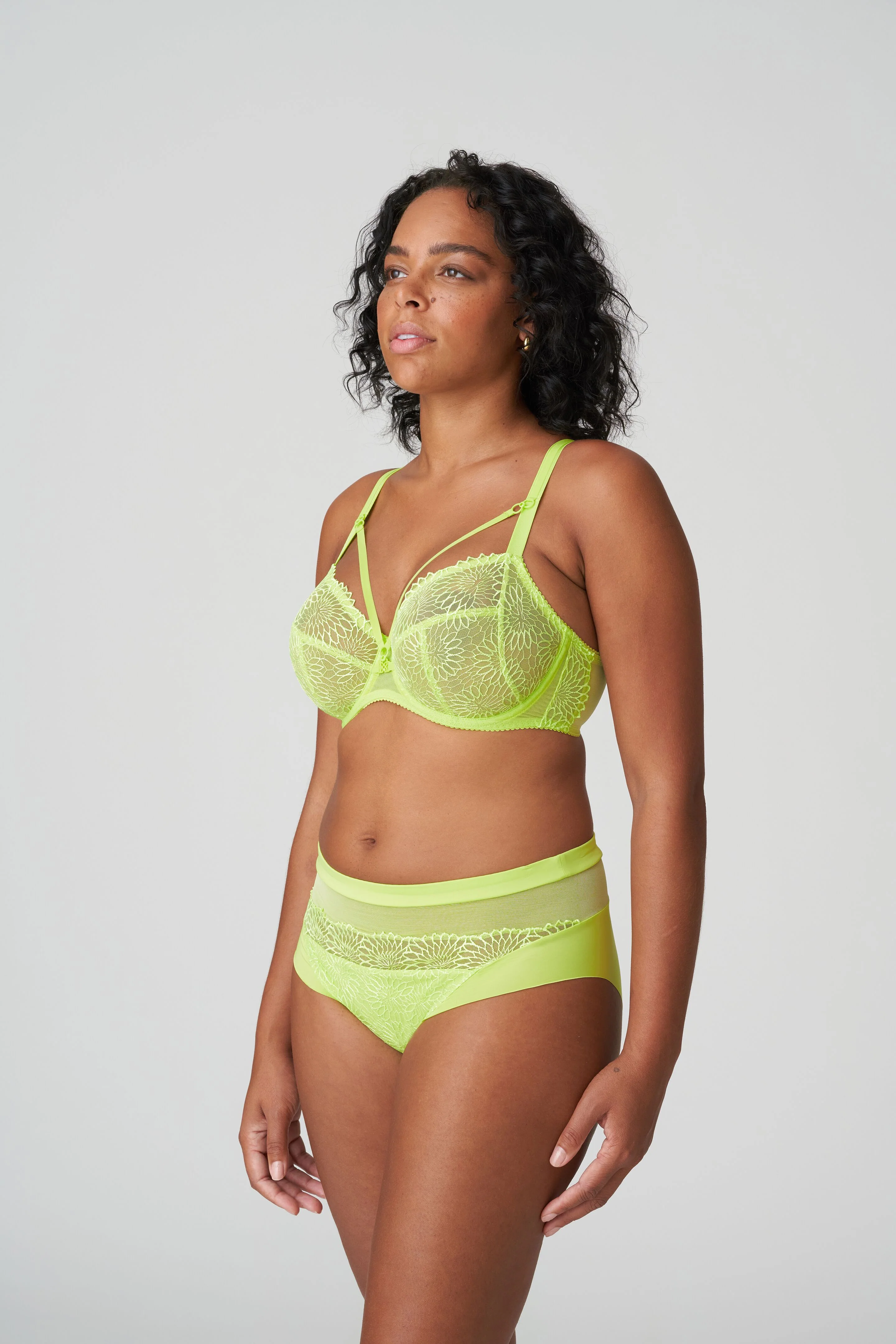 Sophora Full Brief - Image 9