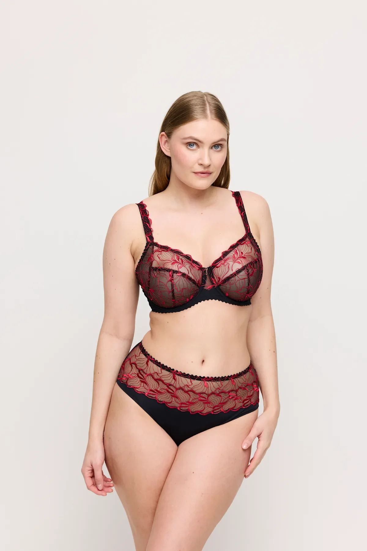 Springdale Full Brief - Image 4